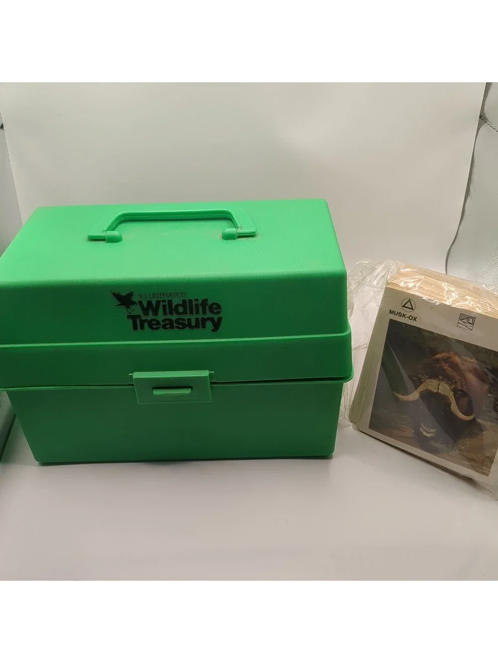 Vintage 70s Illustrated WILDLIFE TREASURY Box FULL Animal Info Cards Bonus Cards